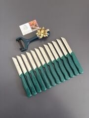 Solingen Kasım kampanya 12 bıçak simli 1 soyacak hediye