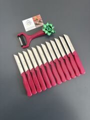 Solingen Kasım kampanya 12 bıçak simli 1 soyacak hediye