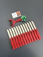 Solingen Kasım kampanya 12 bıçak simli 1 soyacak hediye