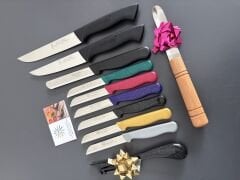 Solingen Düz bıçaklar dahil set(yansoylu) RENKLİ