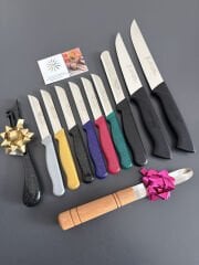 Solingen Düz bıçaklar dahil set(yansoylu) RENKLİ