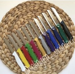 DELİKSİZ SİMLİ MEYVE BIÇAĞI SETİ